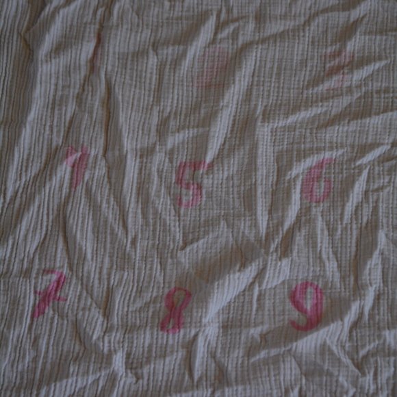 Cloud Island Pink Baby Monthly Milestones Photography Backdrop Muslin Blanket - Picture 6 of 7